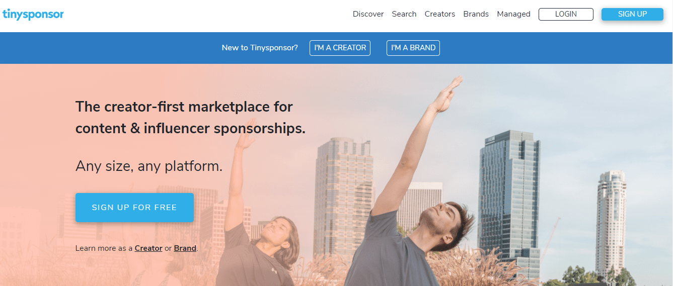 Tinysponsor.png