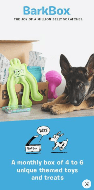 BarkBox-ad-example.png