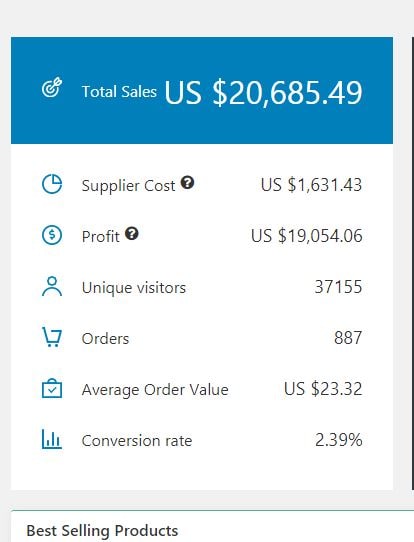 Online store performance screenshot from an enrepreneurial minded owner