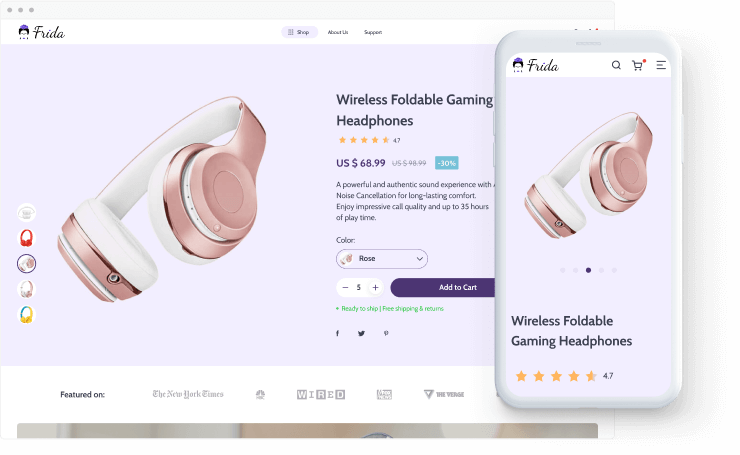 a picture showing how the new stylish theme by AliDropship looks