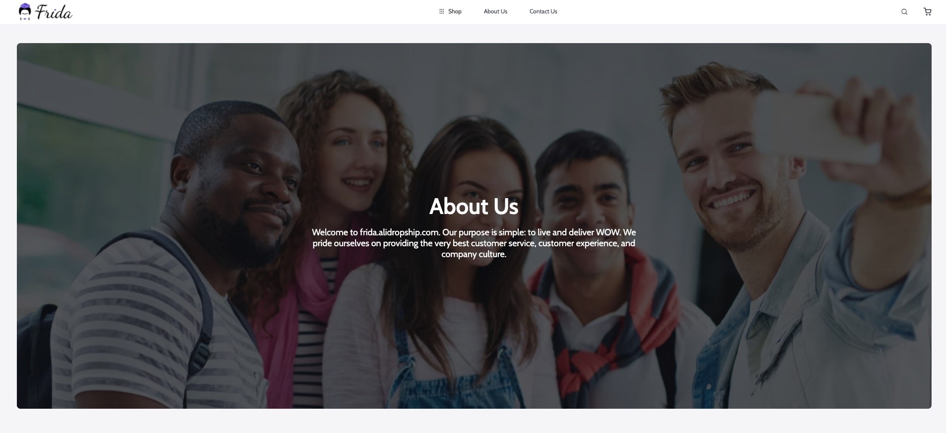 a picture showing how the about us page can look with the Frida theme