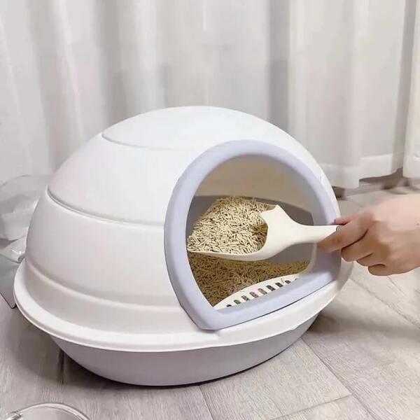 photo of a cat litter