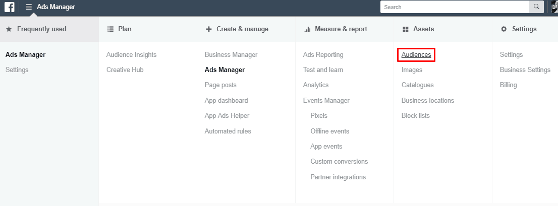 Creating a Custom Email Audience
