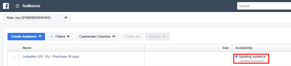 Creating Conversion Lookalike Audiences