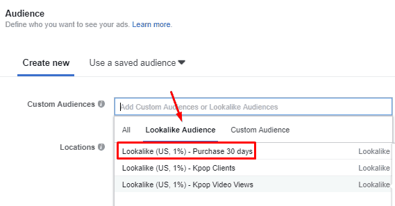 Custom Audience