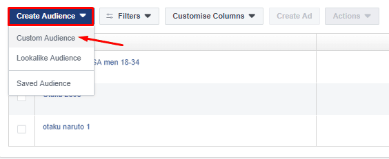 Create FB Audiences