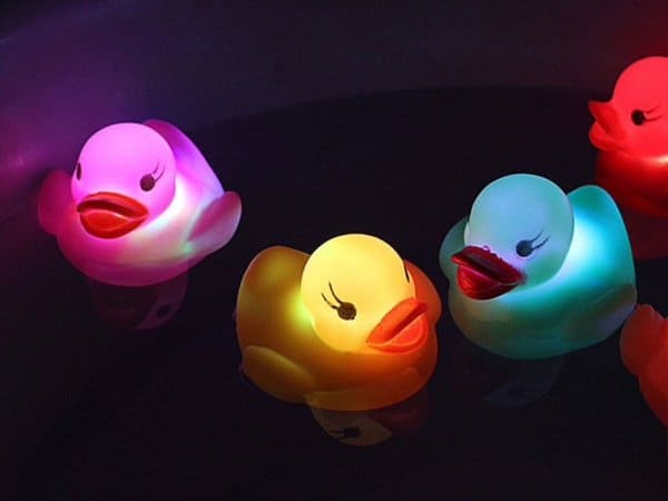 duck.jpg
