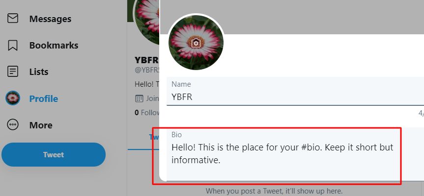 Twitter-Bio.png