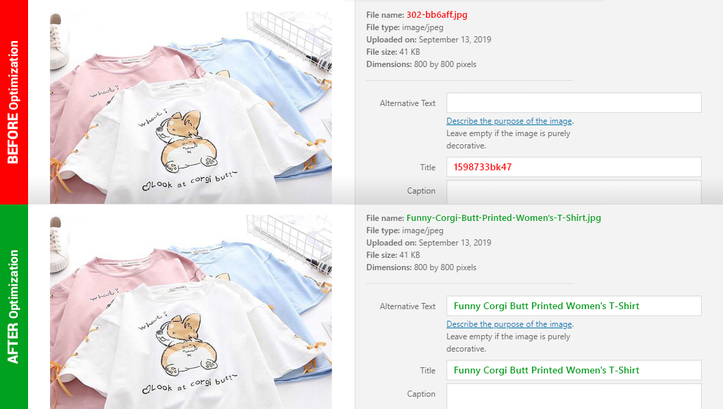 SEO Image Optimizer is a dropshipping add-on reducing your site loading speed through optimizing the visual content