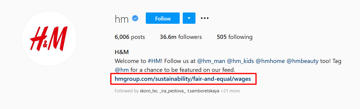 An example of a link included in an Instagram bio