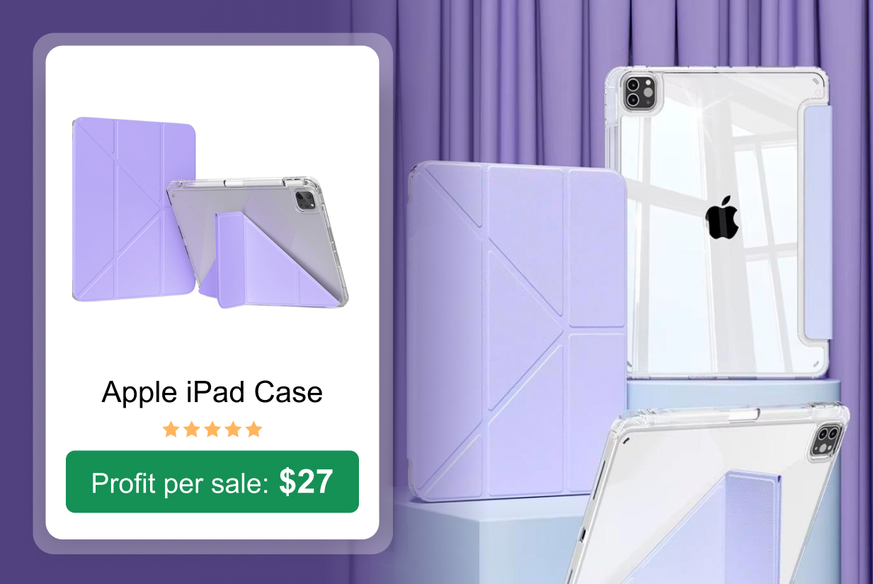 Apple iPad Case