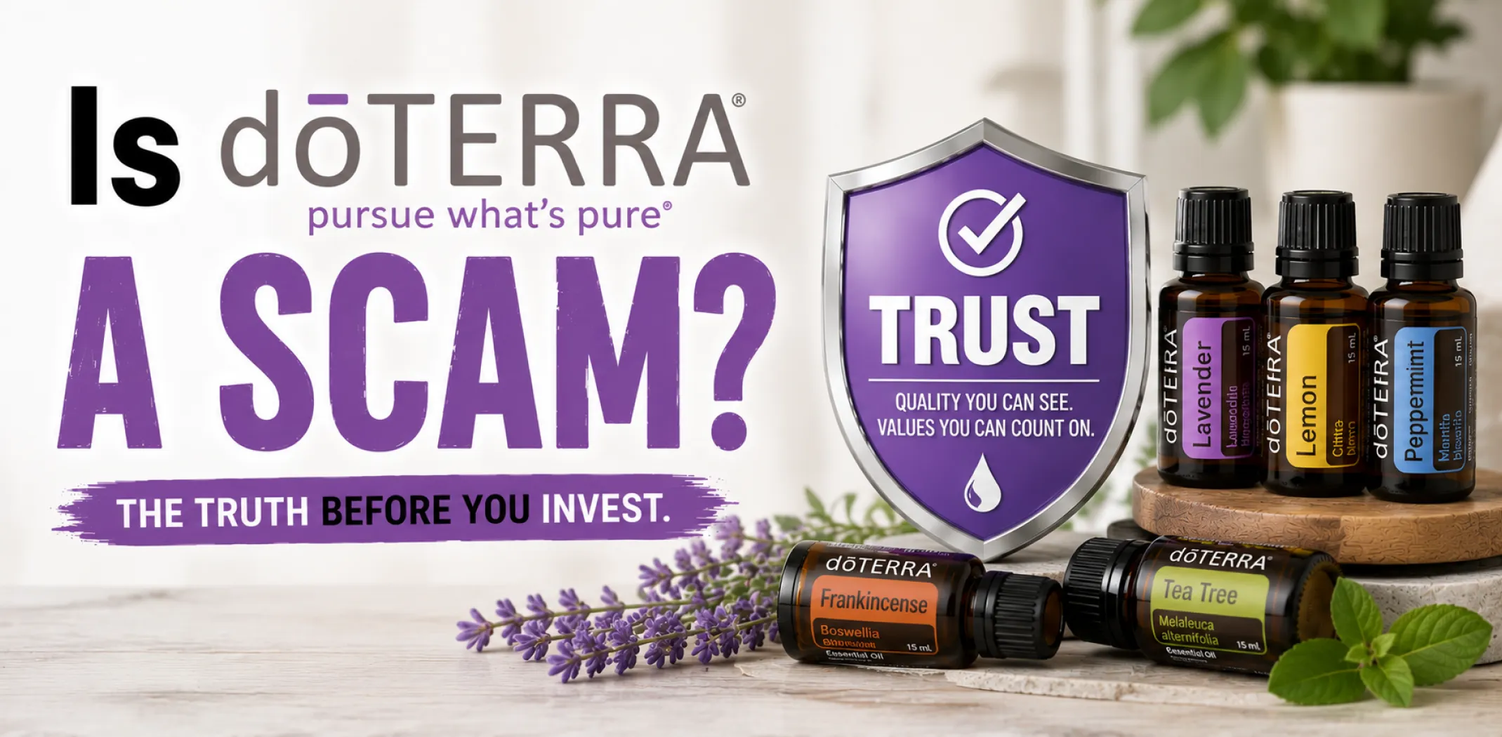 Featured image for an article answering the question "Is doTERRA a scam?"